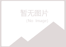 长清县晓夏能源有限公司